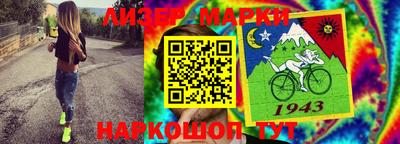 индика Дубна