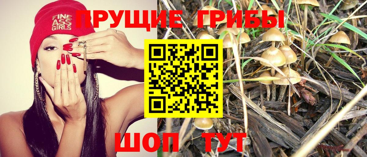Тимашёвск  Псилоцибиновые грибы ЛСД  Вход с VPN 
