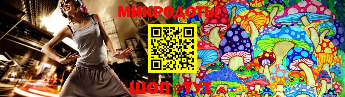Псилоцибиновые грибы Psilocybine cubensis Тимашёвск